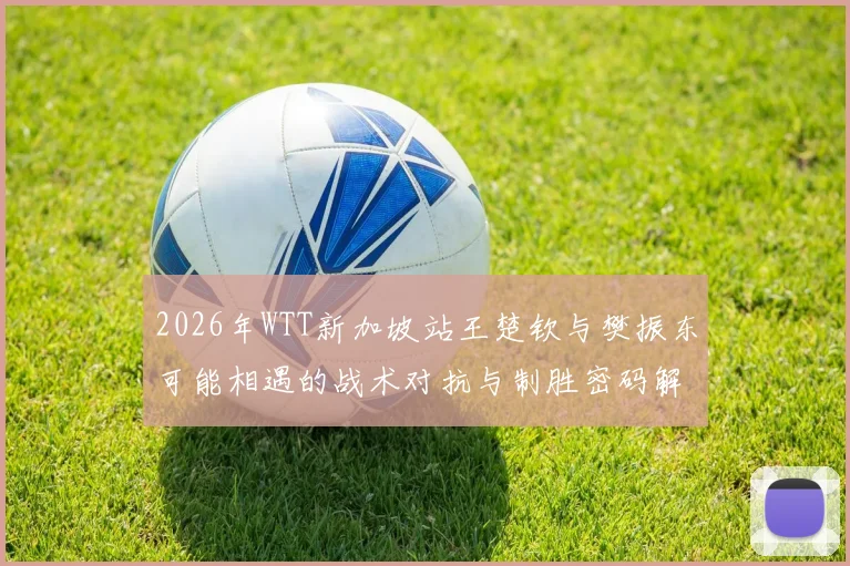 2026年WTT新加坡站王楚钦与樊振东可能相遇的战术对抗与制胜密码解析