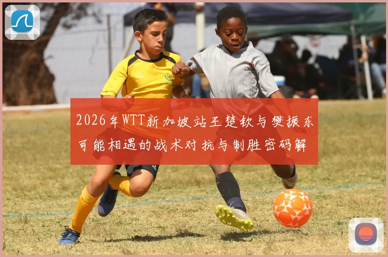 2026年WTT新加坡站王楚钦与樊振东可能相遇的战术对抗与制胜密码解析