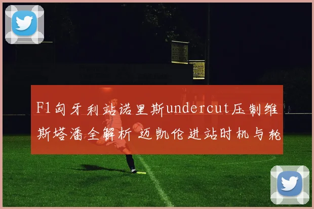 F1匈牙利站诺里斯undercut压制维斯塔潘全解析 迈凯伦进站时机与轮胎策略的博弈细节