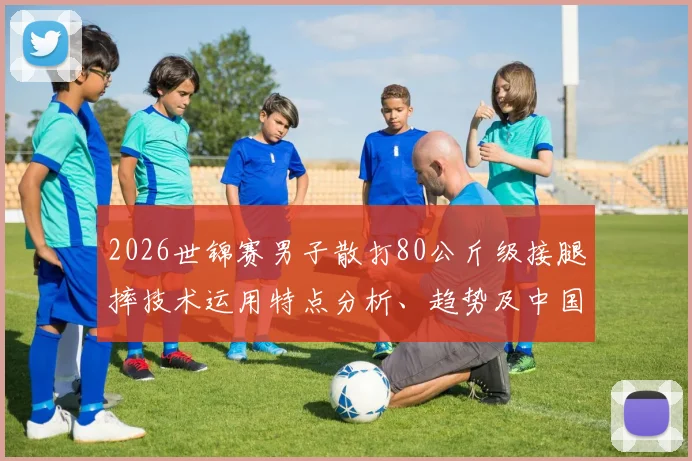 2026世锦赛男子散打80公斤级接腿摔技术运用特点分析、趋势及中国队策略